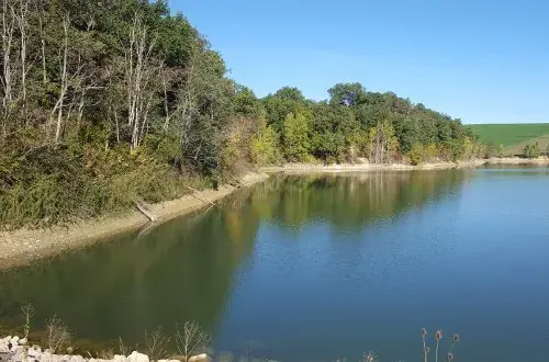 Camping Municipal l'Orme Blanc