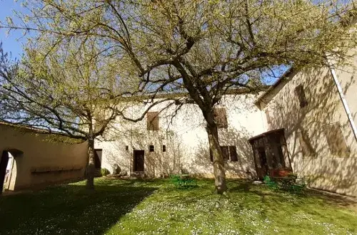 Base & Camping Cap Ganguise