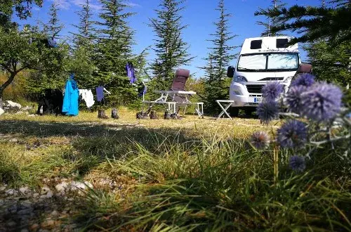 Camping du Montdenier  Aire naturelle de Lions Georges