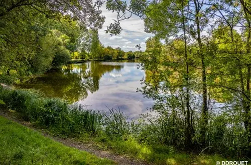 Camping Municipal de l'Orée des Boires