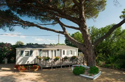 Camping Le Pin Parasol