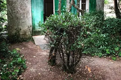 Camping Les Tilleuls