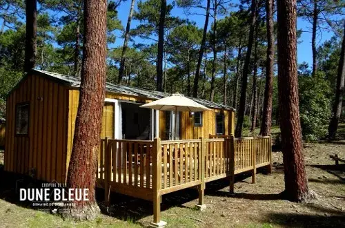 Wellness Sport Camping