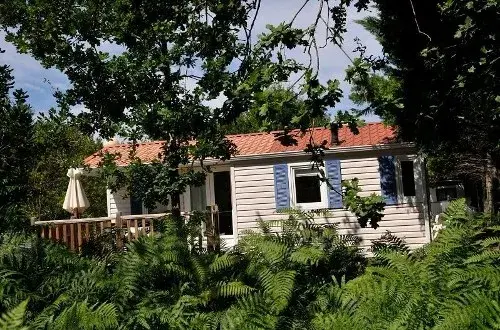 Camping En Chon Les Pins 3 étoiles