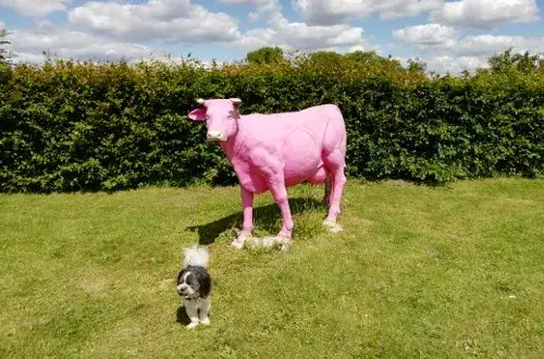 Camping La Paille Haute