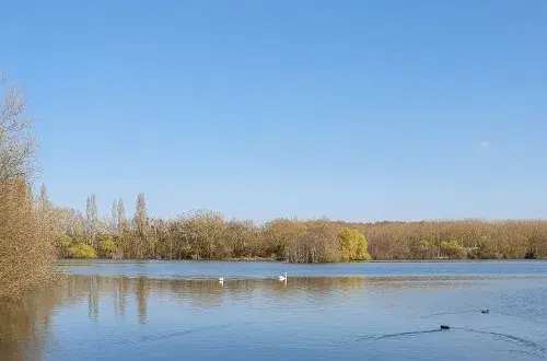Camping Municipal de l'Aulnaie