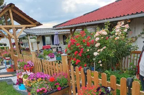 Camping Les Sapins des Vignobles