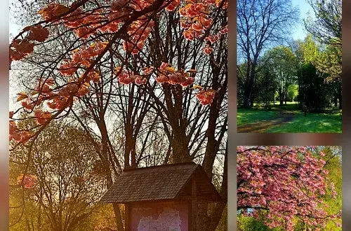 Camping Municipal de Paron