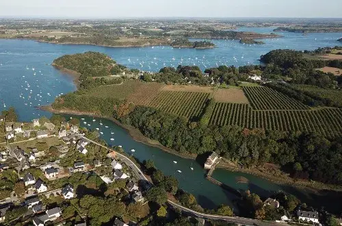 Camping Les Etangs