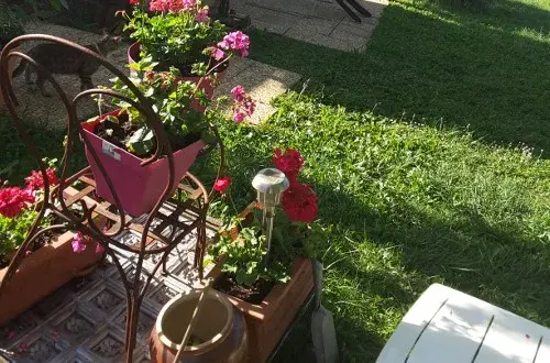 Camping Les Pivolles