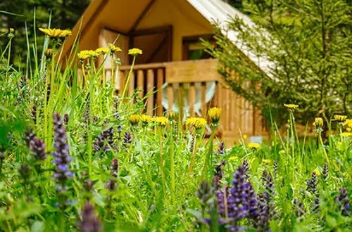 camping municipal des eaux douces