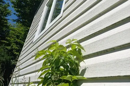 Camping Les Grebes Du Lac