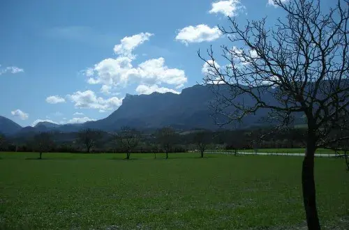 Camping Drôme  Aire Naturelle de Camping le Petit Nid