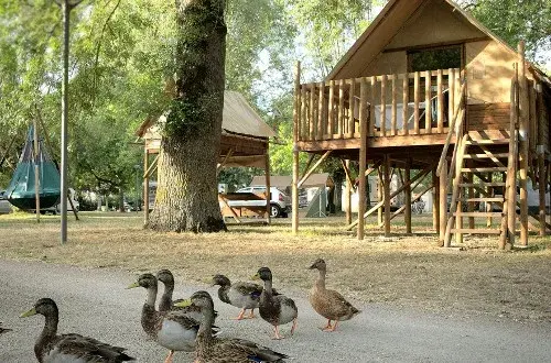 Camping Le Sabot  Onlycamp