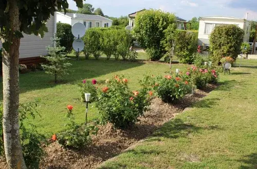 Camping LA BUISSONNIERE