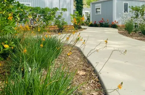 Camping La Tour de France