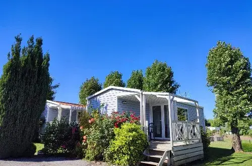 Flower Camping Vitamin'