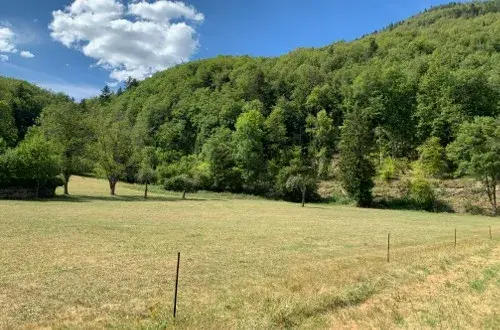 Camping Municipal BeneluxBâle