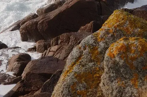 Anse De Brick