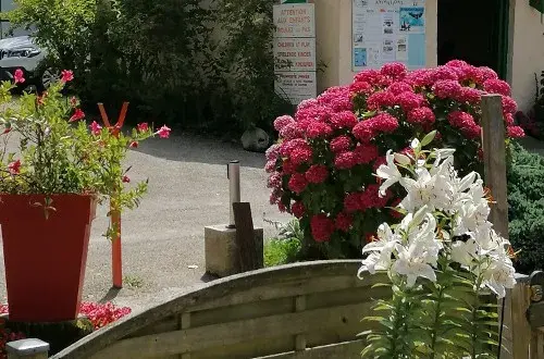 Camping Bellevue des Palomieres