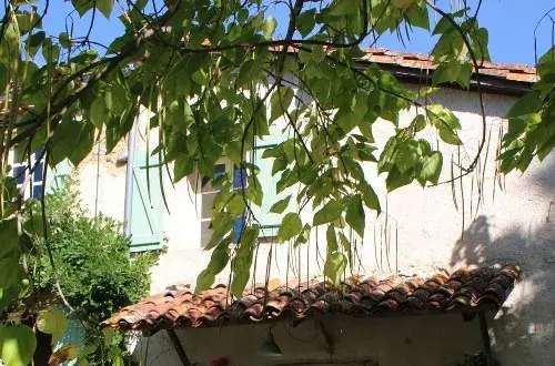 Domaine de Calabel (camping Pouylebon)