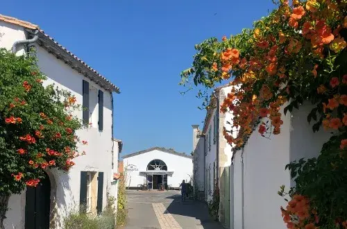 GCU Le