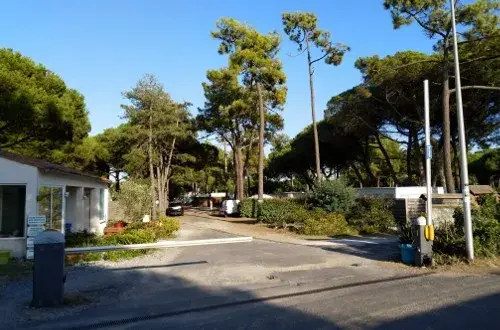 Camping Les Barjottes