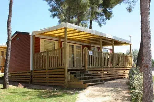 AEC Vacances  Les Dauphins