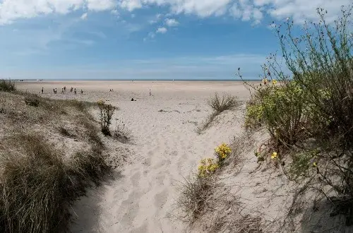 Camping des Dunes