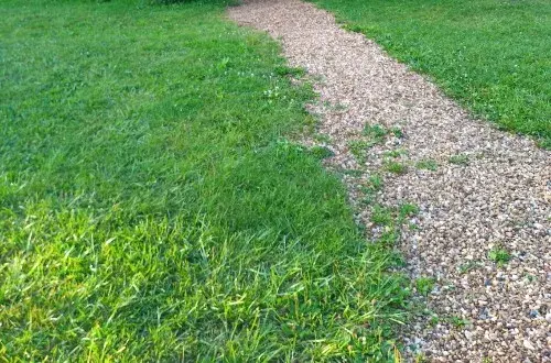 Camping municipal Les Plantes