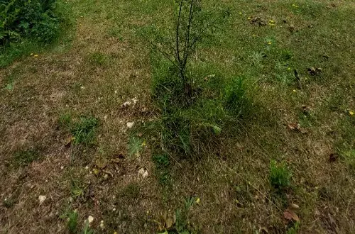 Camping Caravaning de Grand Vigne NATURA SERENA