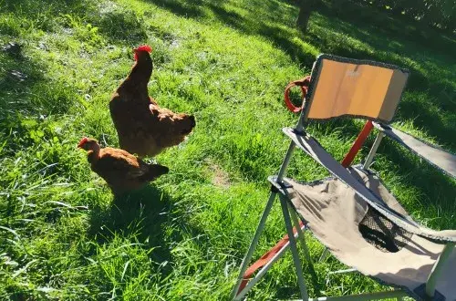 Camping Le Bol d'Air