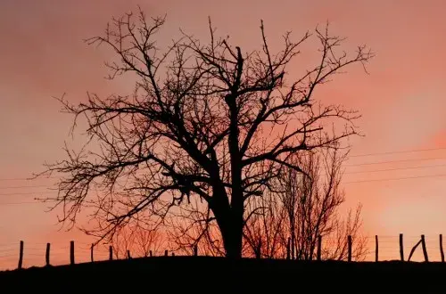 Terrasses De Xapitalia