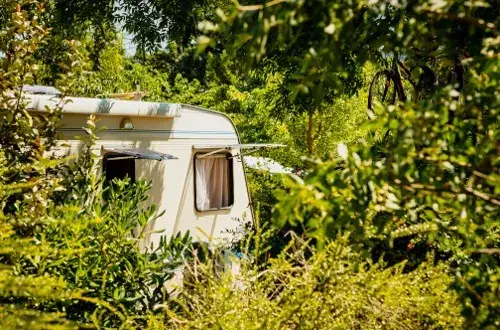 Camping à l'Ombre des Oliviers