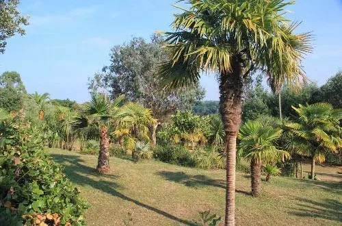 Camping des Palmiers