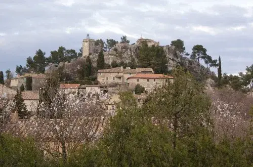 Camping les Oliviers