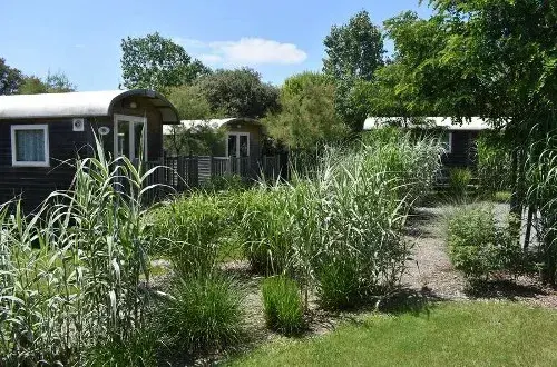 Flower Camping Le Petit Paris