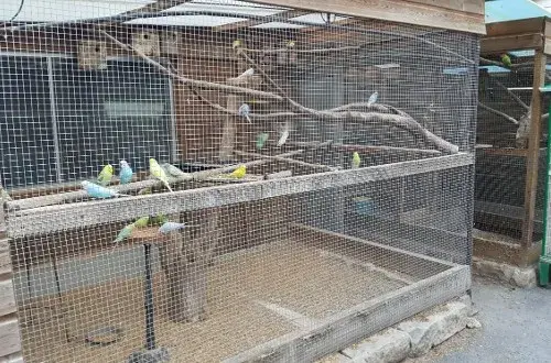 Camping des Huit Rues