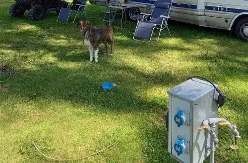 Camping Municipal Les Iris