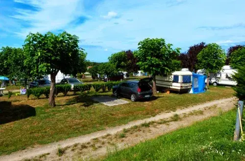 Camping Le vieux Platane