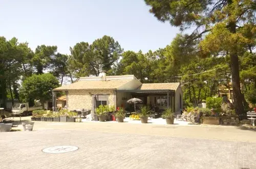 Camping la Pinéde en Provence