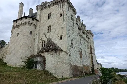 Camping Les Terres de Belle Rive à Candes Saint Martin
