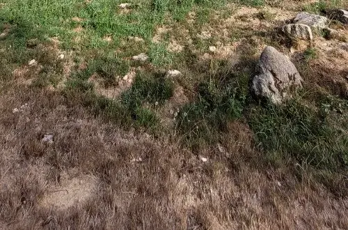 Aire Naturelle de Camping