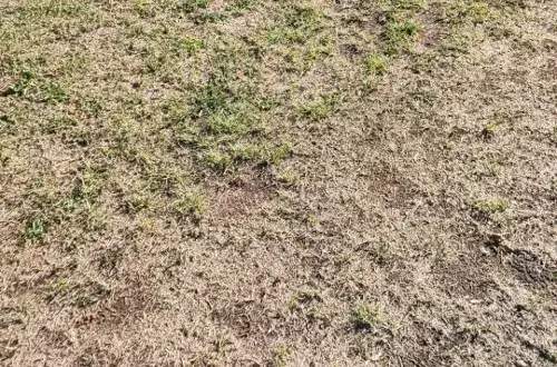 Camping des Trois Pierres